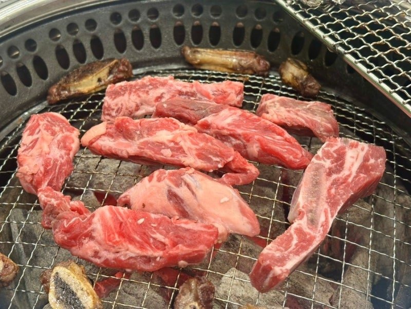 고기간 사진 6