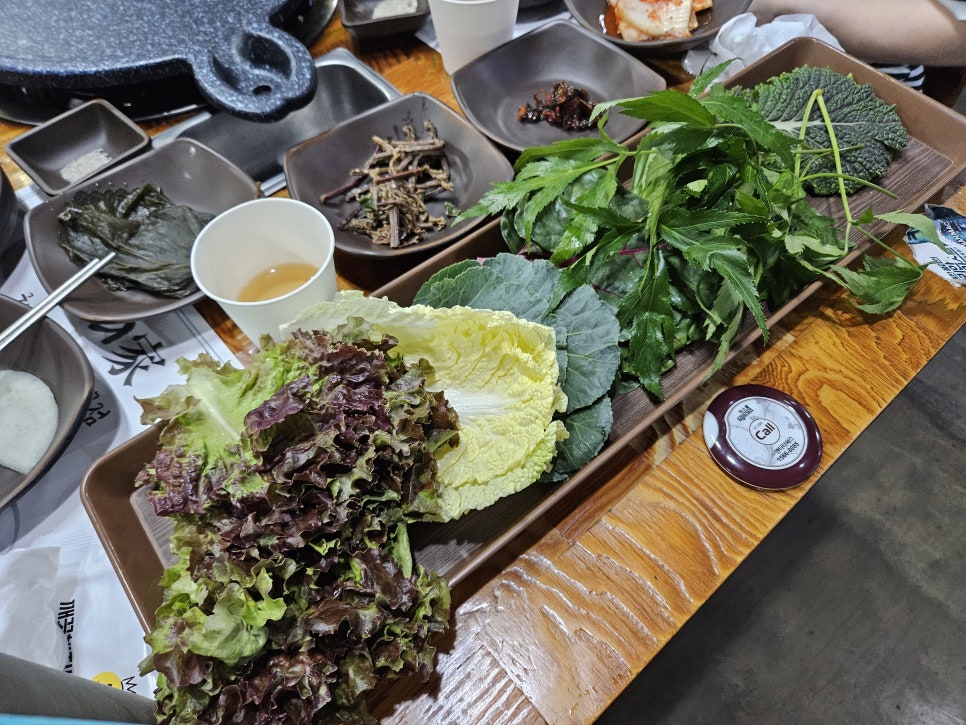 오리가 사진 6