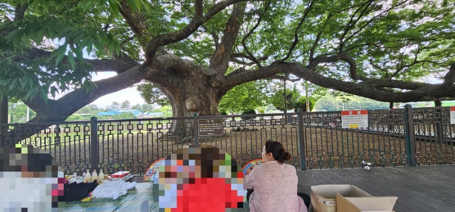 용궁 사진 6