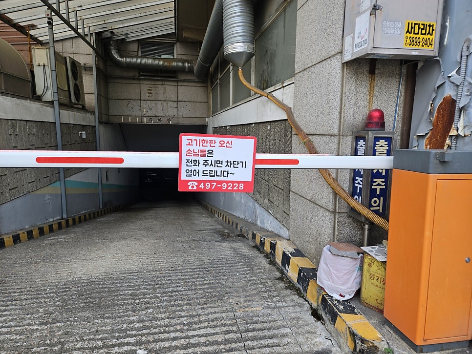 고기한판 사진 3