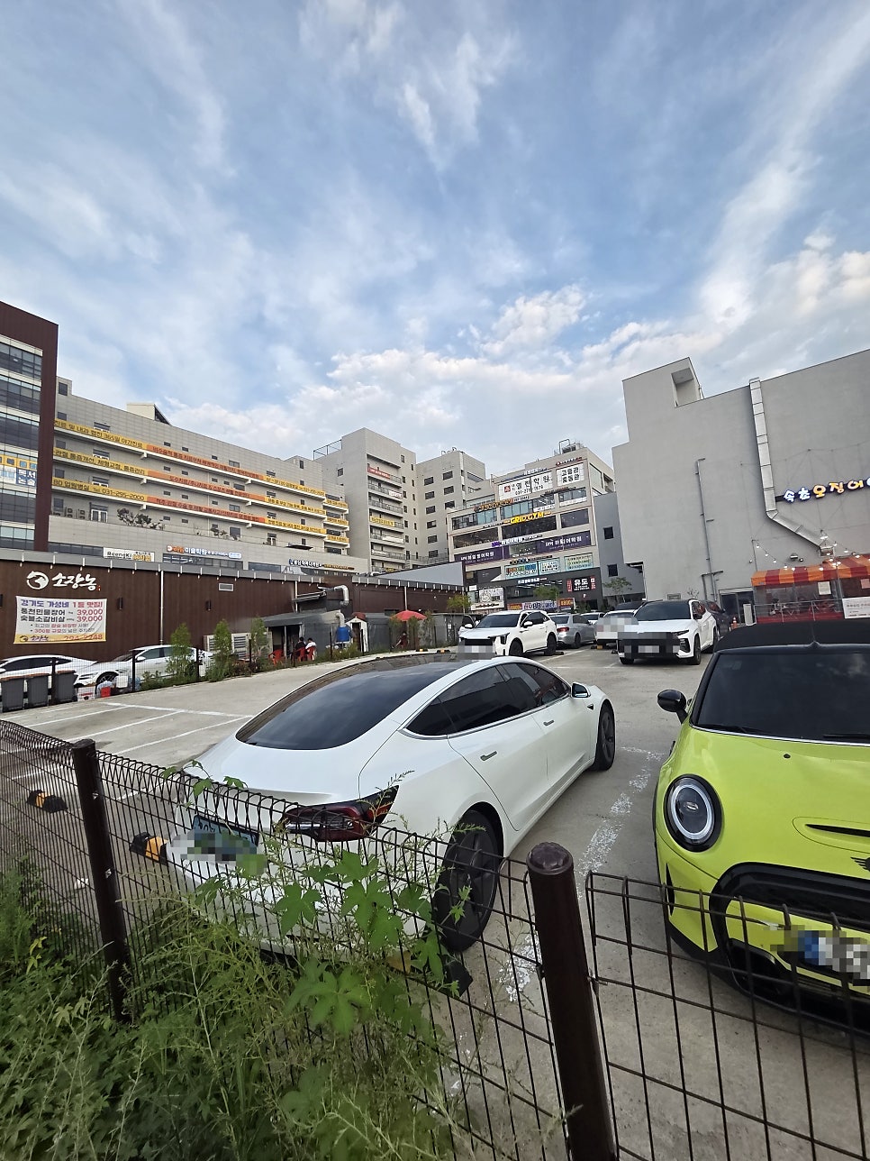소장농 사진 4