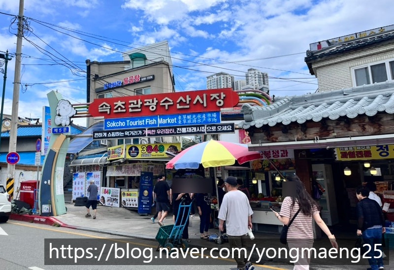 속초중앙시장 누룽지오징어순대 후기 속초관광수산시장 맛집 먹거리 추천