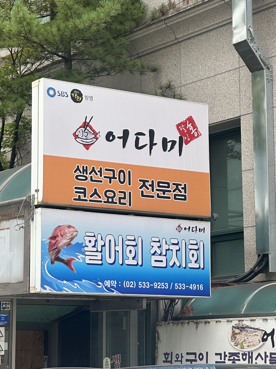 어다미 사진 1