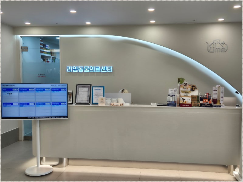 강아지 항문낭 짜기 언제 해줘야 할까? 안전하게 하는 법과 주기까지