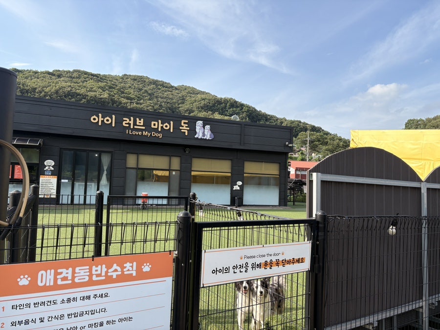 아이러브마이독 사진 4