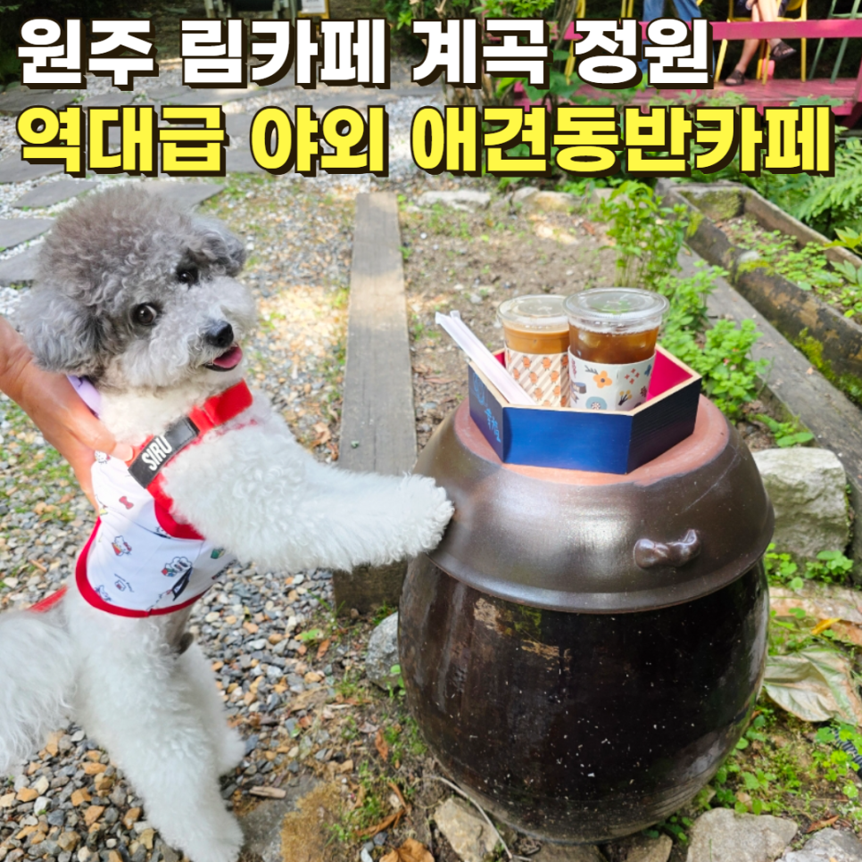 림카페 사진 1