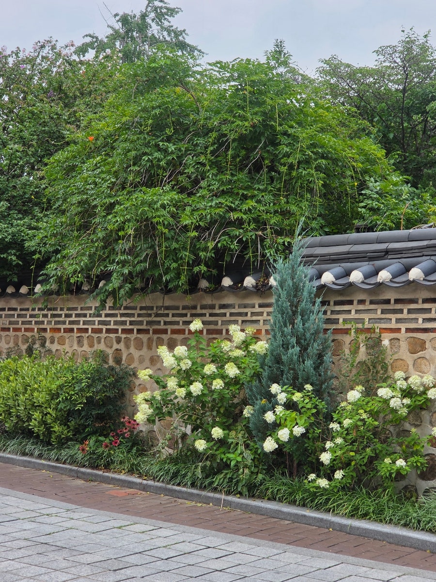 안국153 사진 2