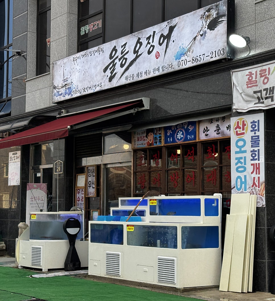 울릉오징어 사진 1