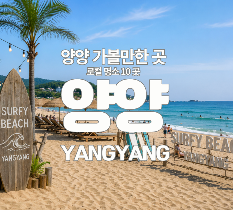 강원도 양양 가볼만한 로컬 명소 10곳! 서핑 안 해도 이렇게 즐길 게 많다고요?