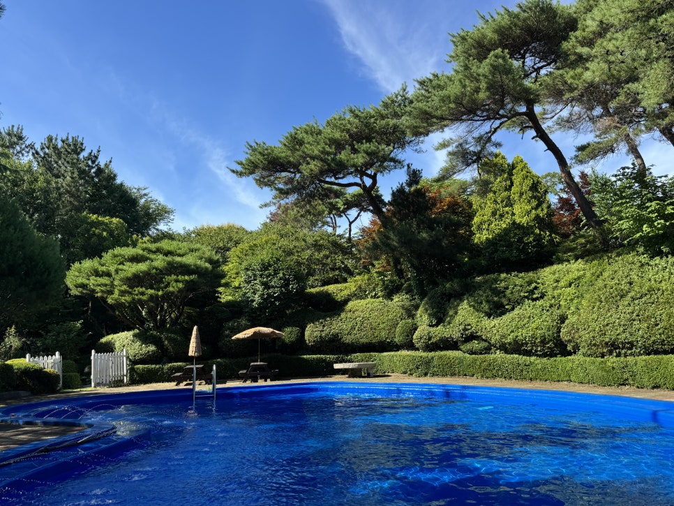 백화원리조트 사진 2