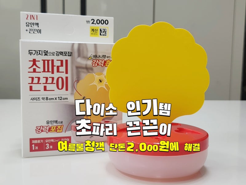 다이소 여름철 필수템 초파리 때문에 스트레스라면 다이소 2천원 추천템 초파리끈끈이 솔직....