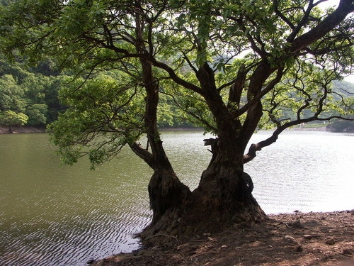 주산 사진 6