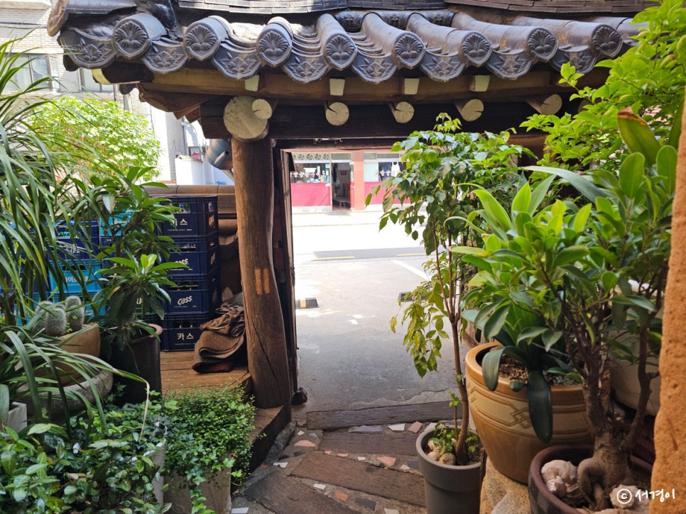 동촌 사진 5