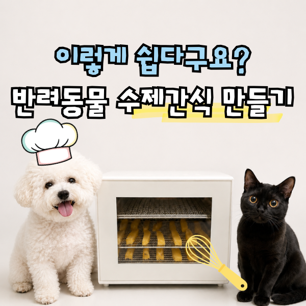 고양이 강아지 수제간식 만들기, 초간단 고구마 말랭이