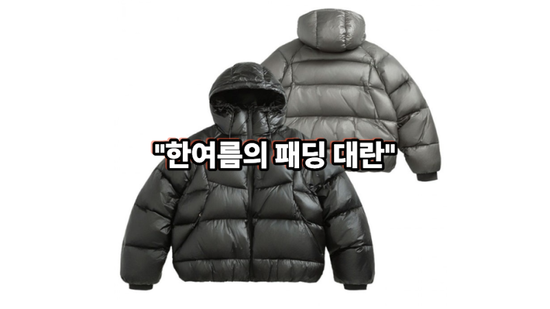 2026 겨울 패딩 유행 트렌드 및 가격대별 브랜드 추천: 한여름의 PVCS(프븏스) 프리오더 대란 이....