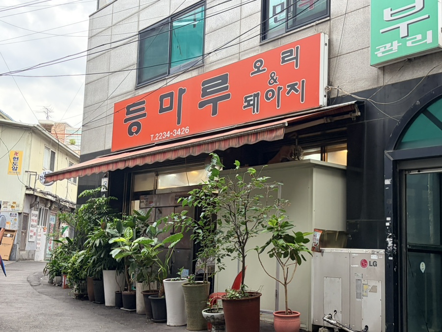 등마루 사진 3