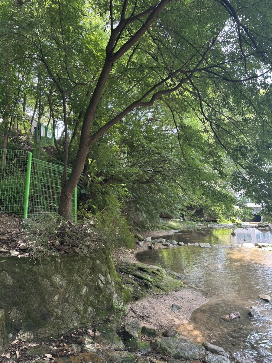 수락산시래기 화덕생선구이 사진 1