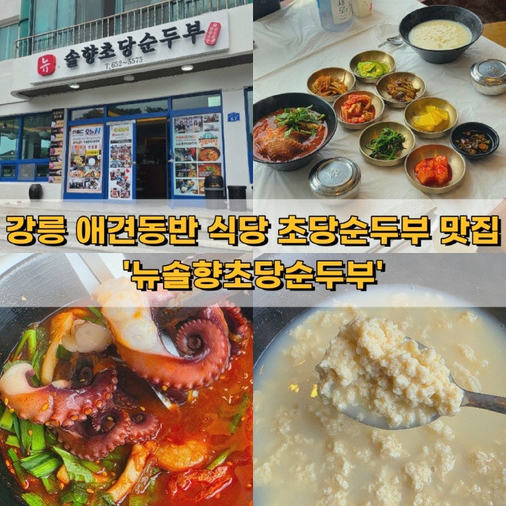 강릉 애견동반 식당 초당순두부 맛집 '뉴솔향초당순두부'
