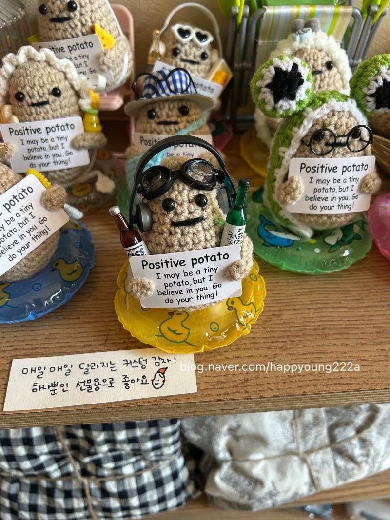 강릉 소품샵 추천｜아기자기 감성샵 투어 코스 (안목해변 + 강릉역 근처)