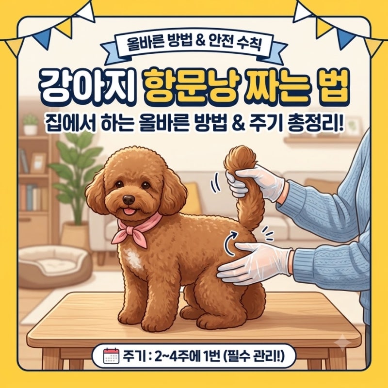 강아지 항문낭 짜는 법과 주기 집에서 하는 올바른 방법 총정리