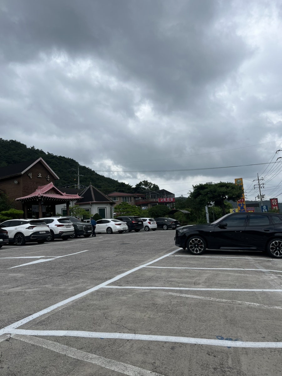 카페 벽오동 사진 2