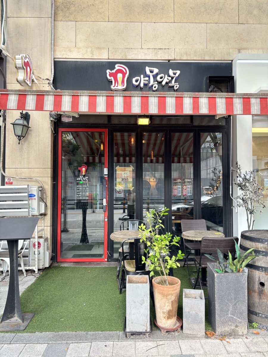 야몽야몽 사진 2