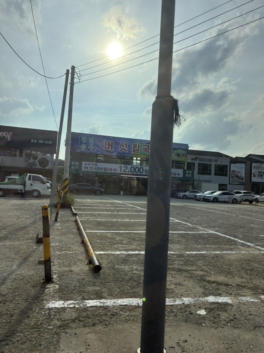 청년농부 버섯칼국수 용인 사진 3