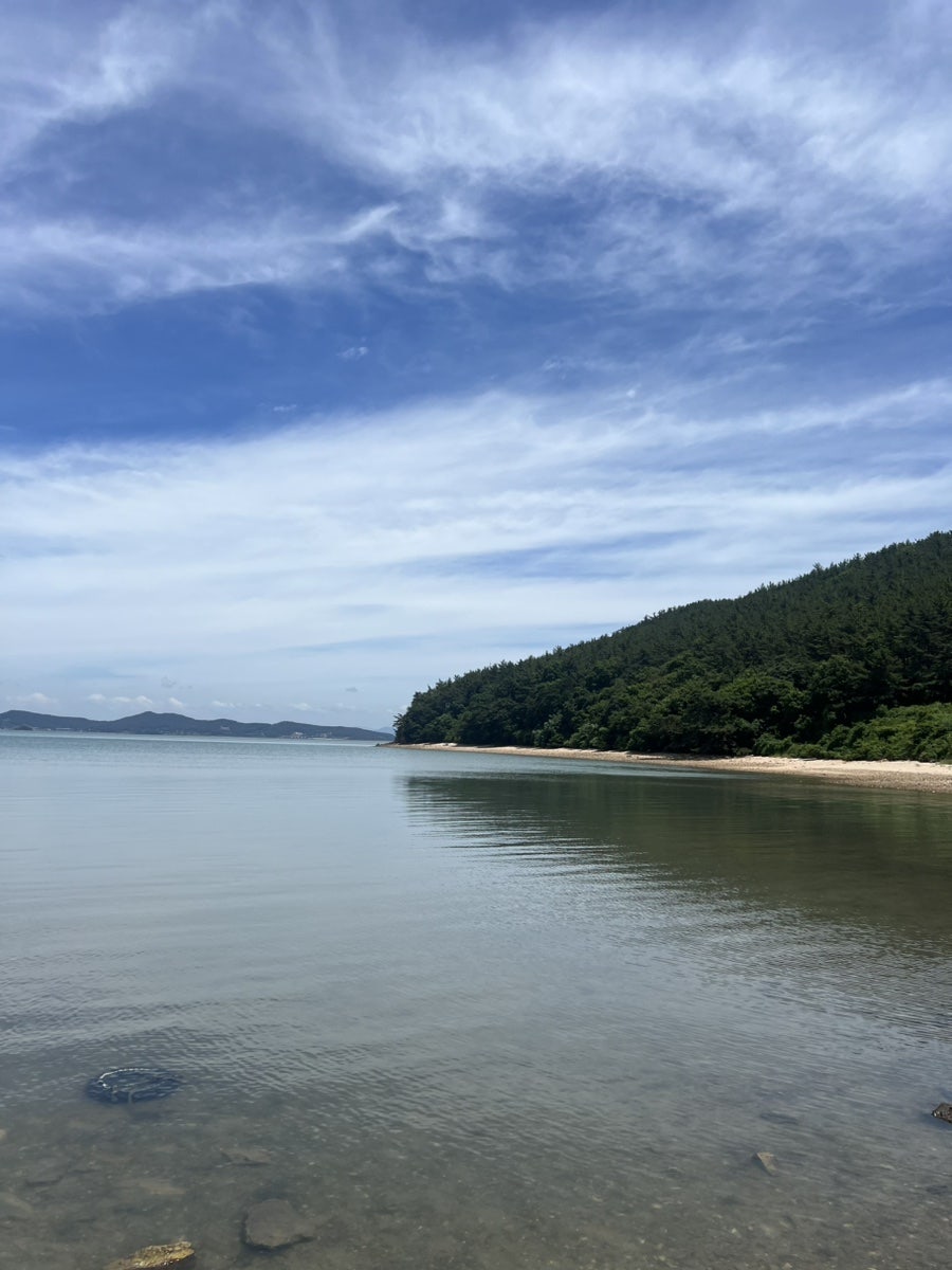 정산포바닷가 사진 5