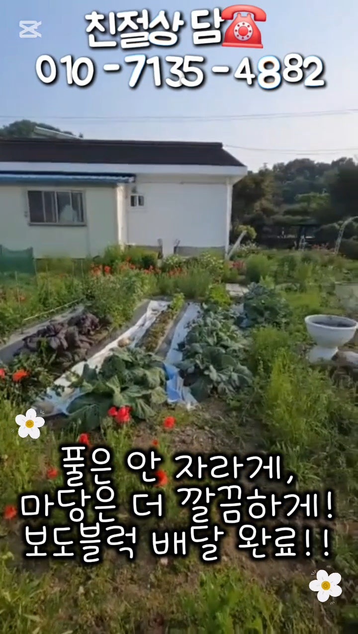 마당 사진 4