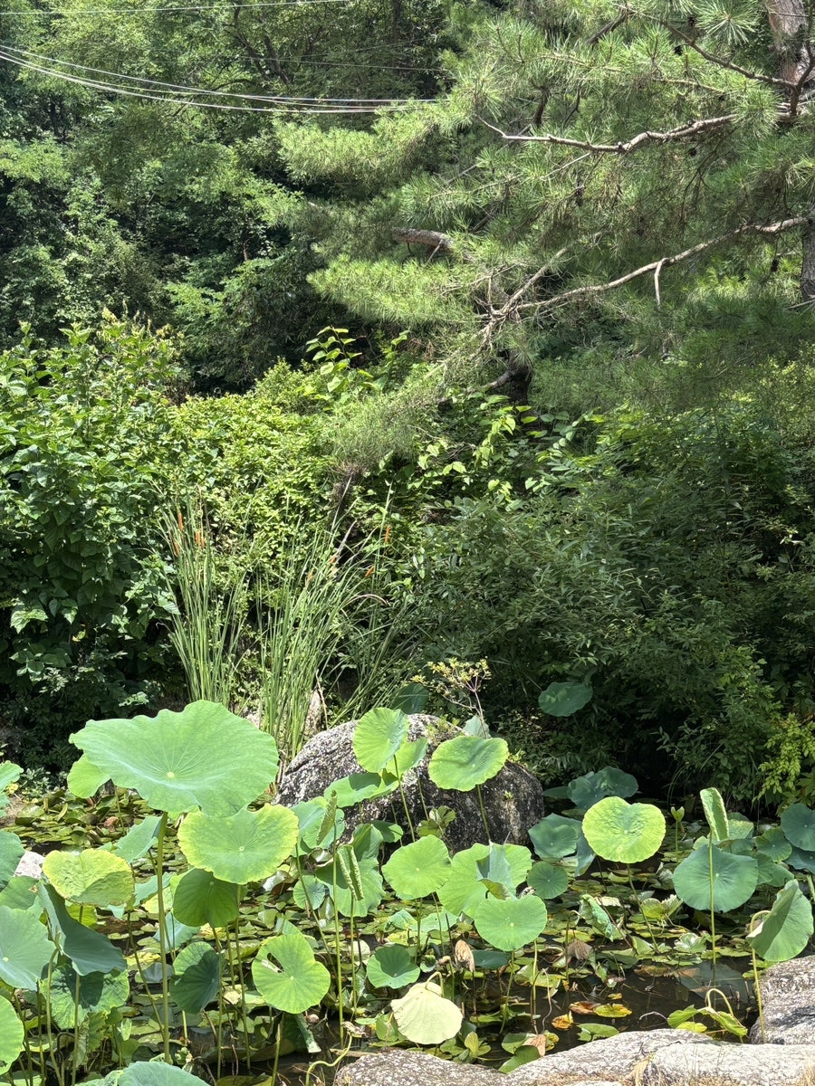 디새농원 사진 4