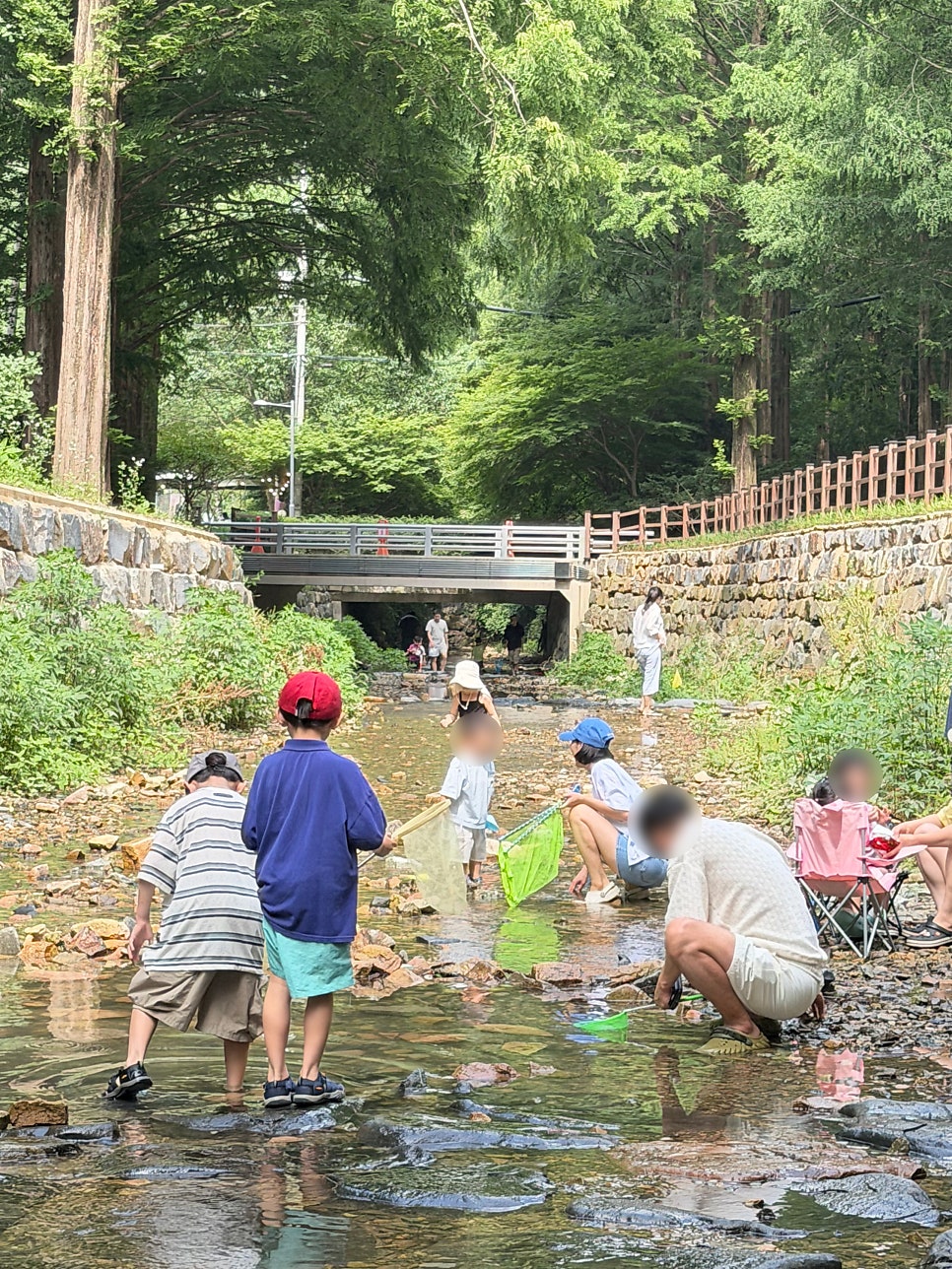 고기잡이 사진 4