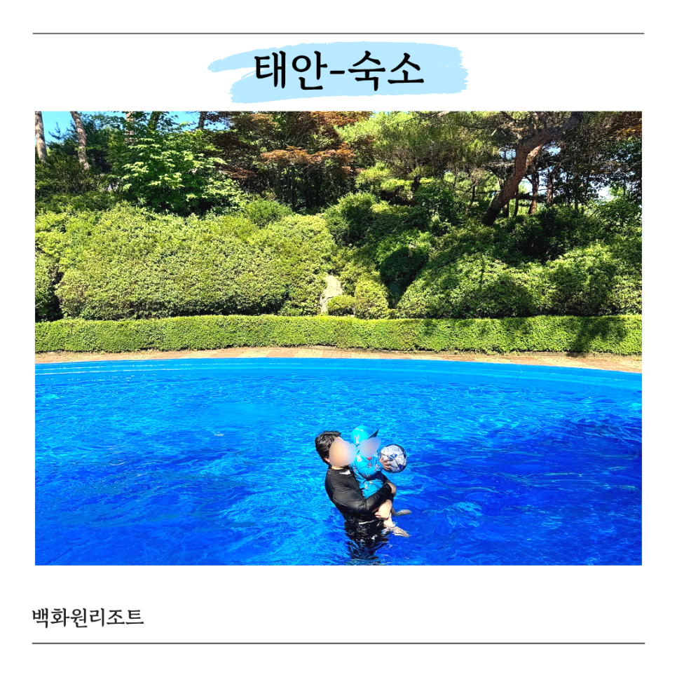백화원리조트 사진 1