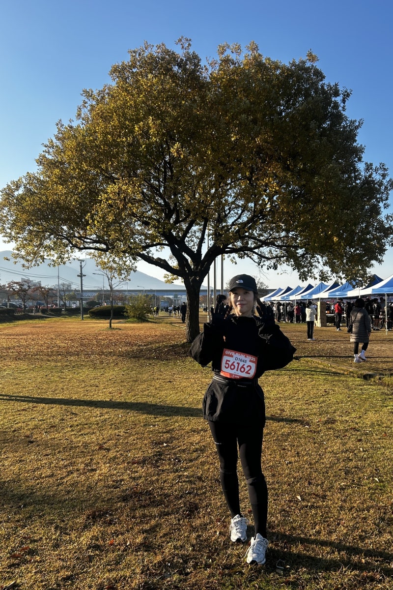 부산국제마라톤 2026 하반기 부산 러닝대회 일정