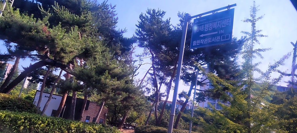 시화순대감자탕 사진 2