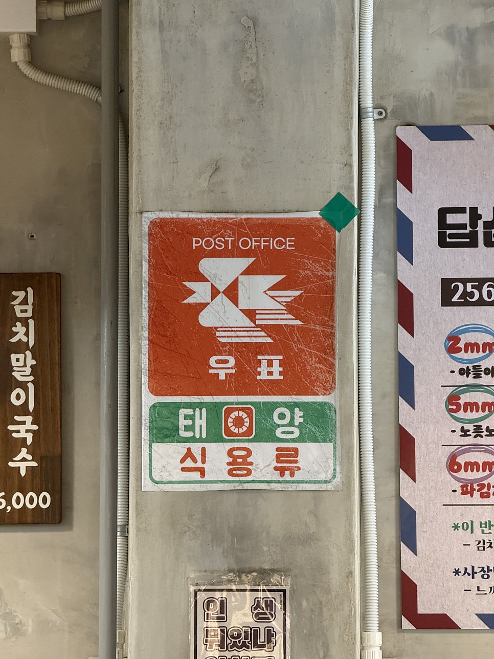 256냉삼 사진 5