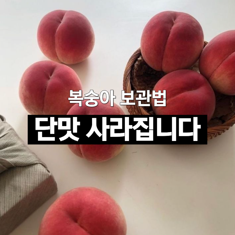 여름 제철 황도 복숭아 보관법, 하루 차이로 당도가 달라집니다