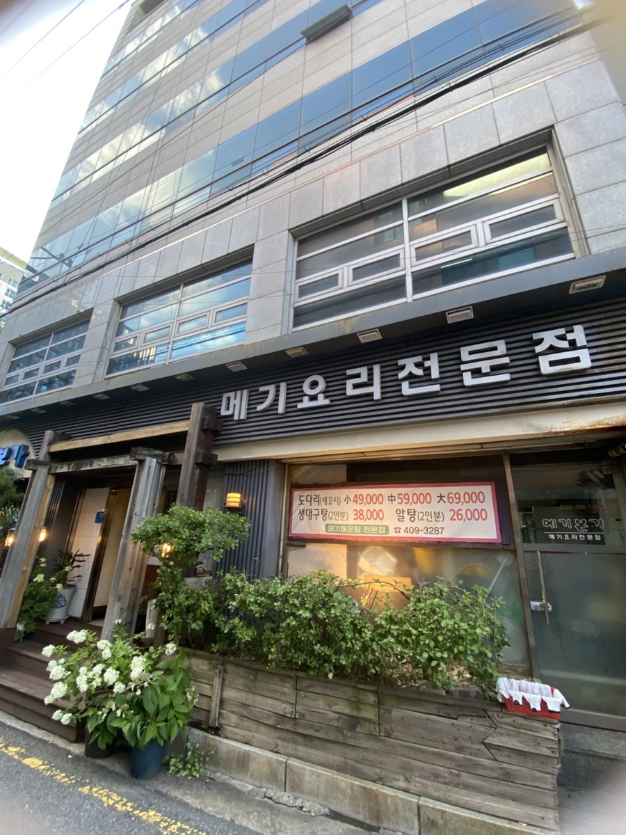 메기본가 사진 1