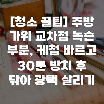 [청소 꿀팁] 주방 가위 교차점 녹슨 부분, 케첩 바르고 30분 방치 후 닦아 광택 살리기