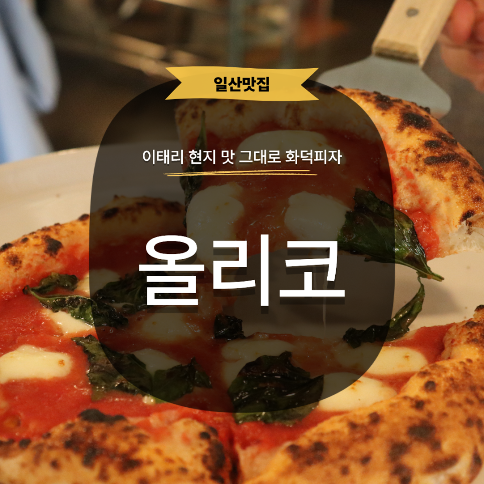 올리코 사진 1