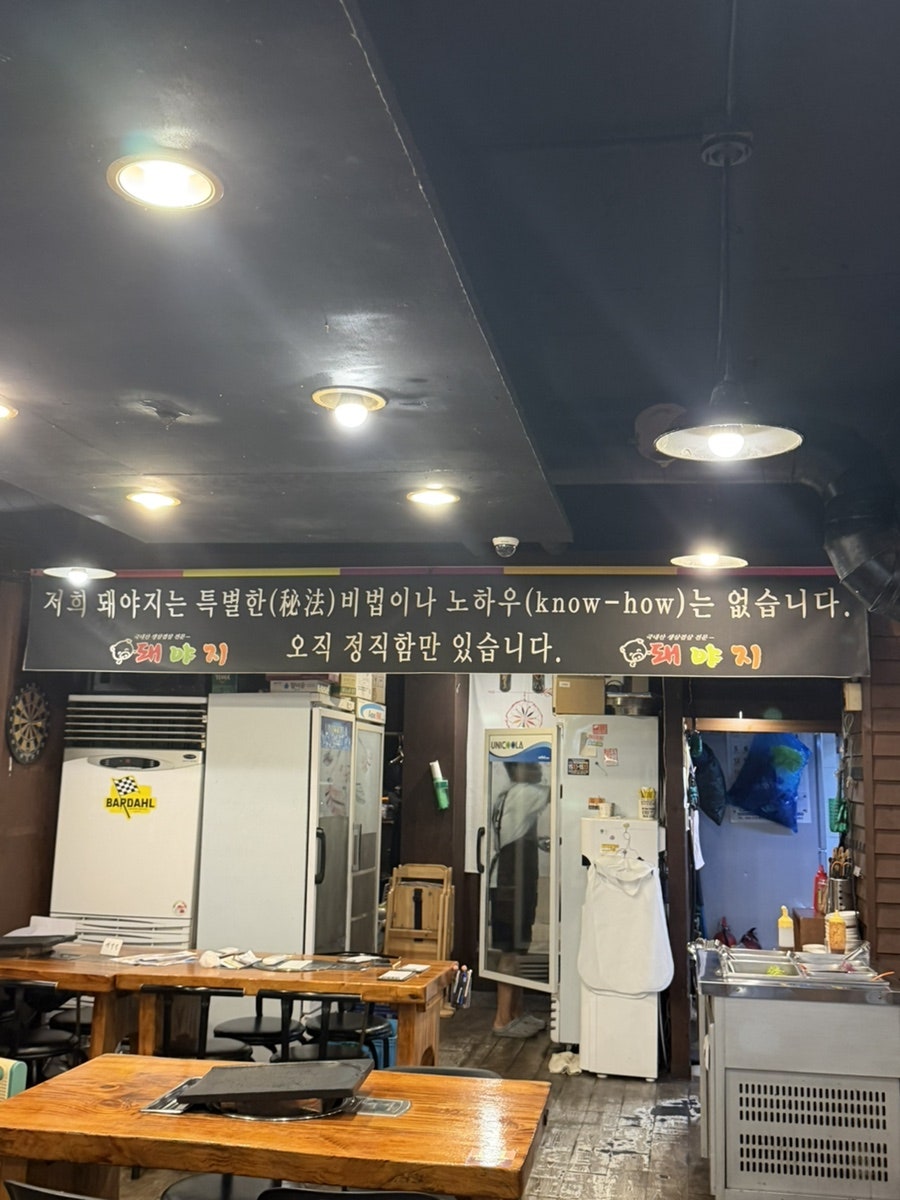 돼야지 사진 5
