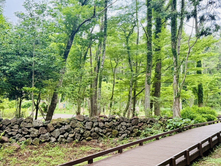 수악오름도시숲 사진 5