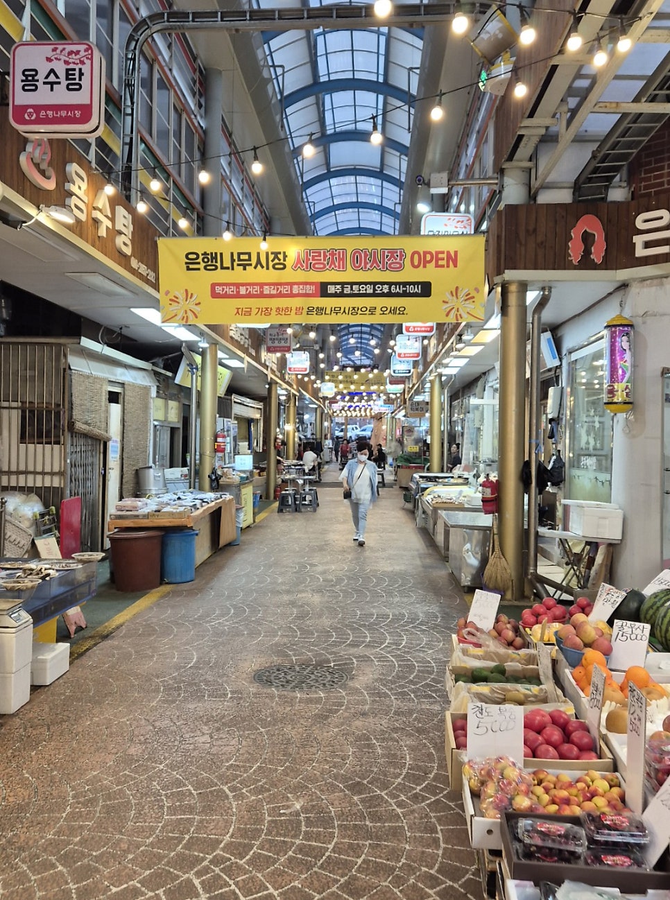 은행나무 사진 6
