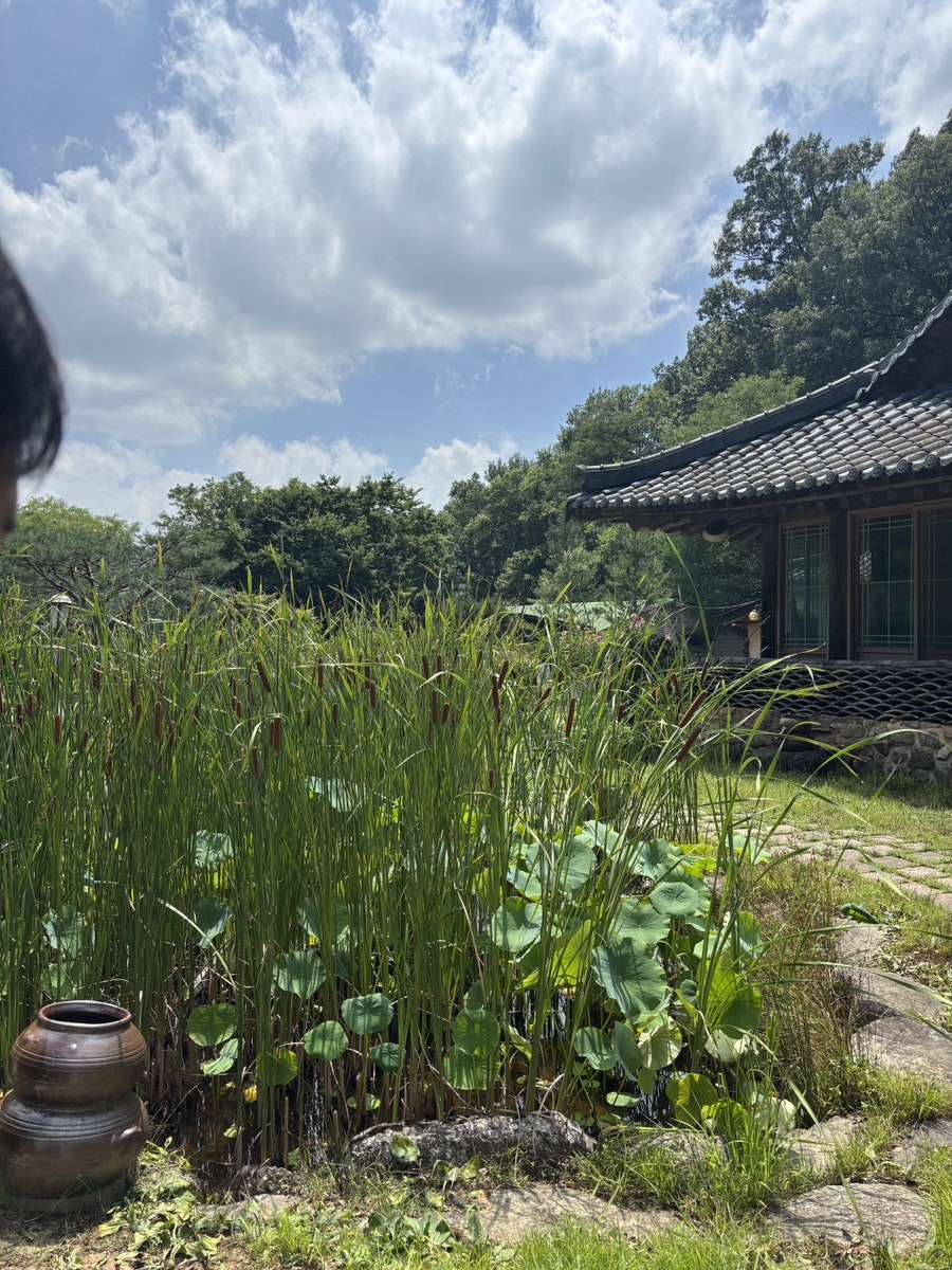 디새농원 사진 5