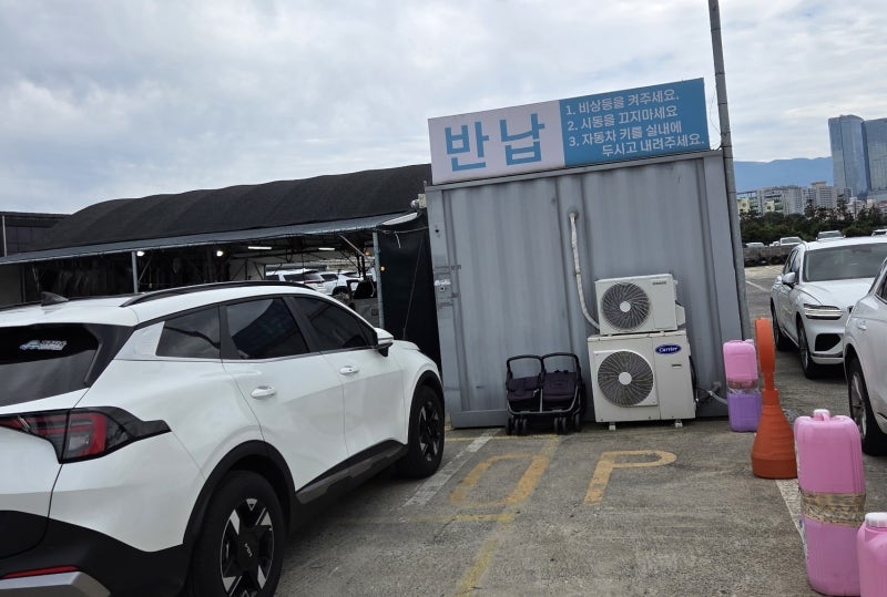 제주도 렌트카 비교 및 추천 제주다움렌터카 이용 솔직후기