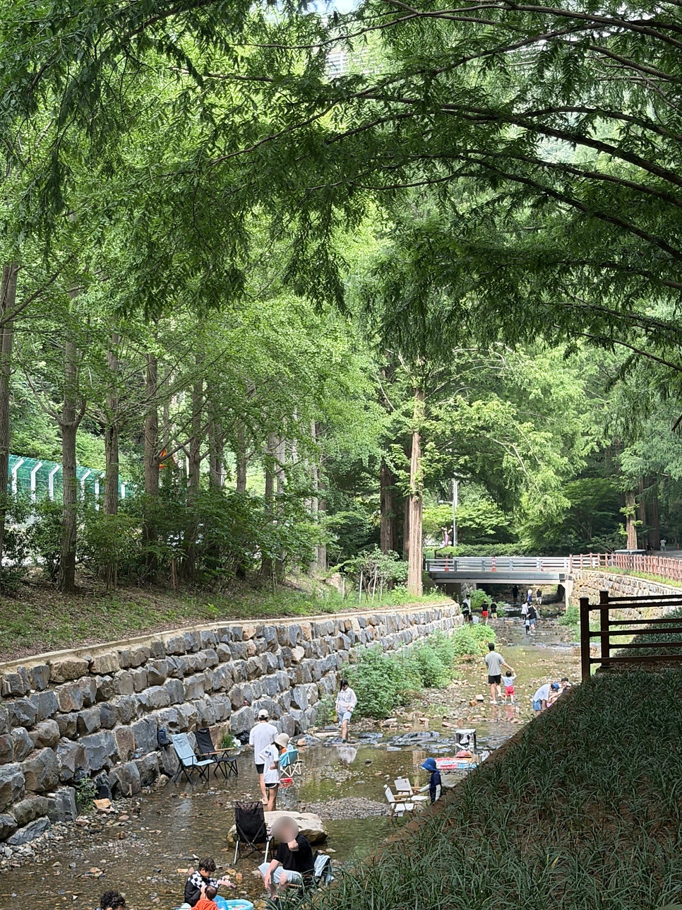 고기잡이 사진 6