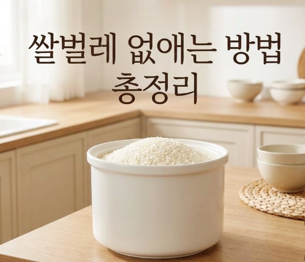 쌀벌레 없애는 방법 총정리! 마늘,숯 다 실패하고 내가 찾은 방법