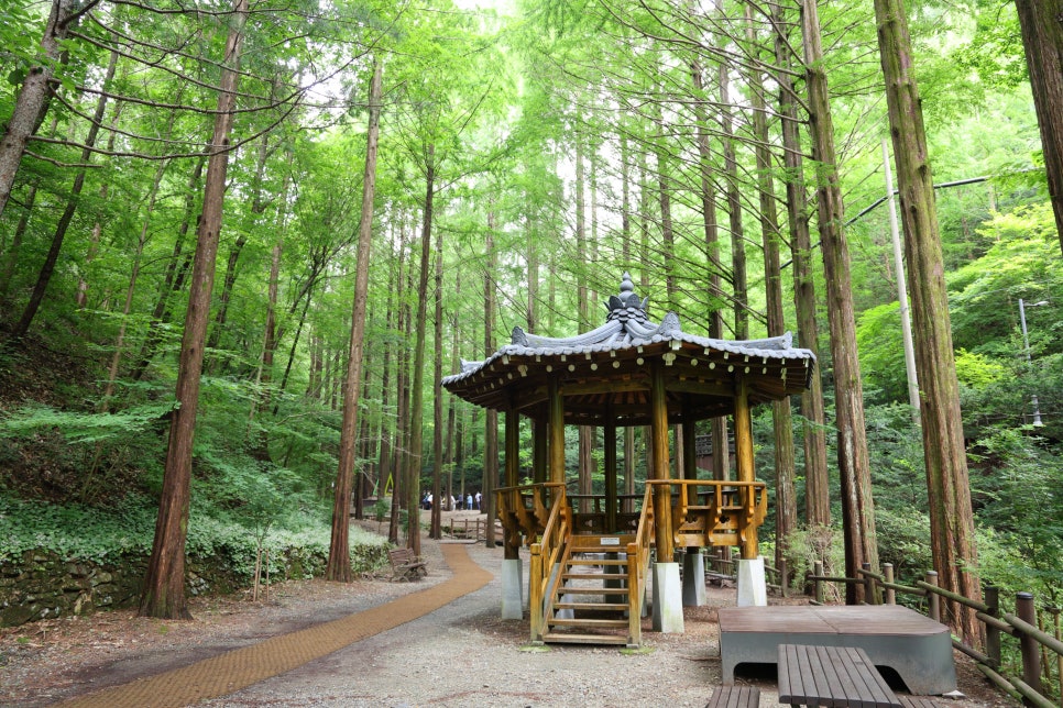 장태산 사진 5