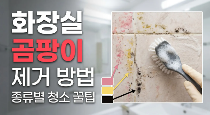 화장실 핑크 곰팡이 제거 방법, 과탄산소다 얼음 세제로 한 번에 해결하기