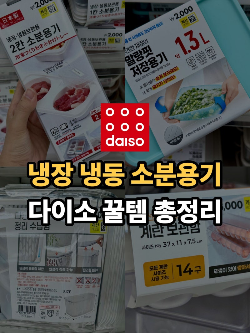 다이소 냉장 냉동실 정리템 말랑핏 소분용기 꿀템 추천