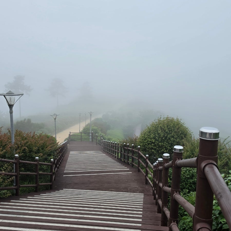 꾸석지돌판한우 완도점 사진 4